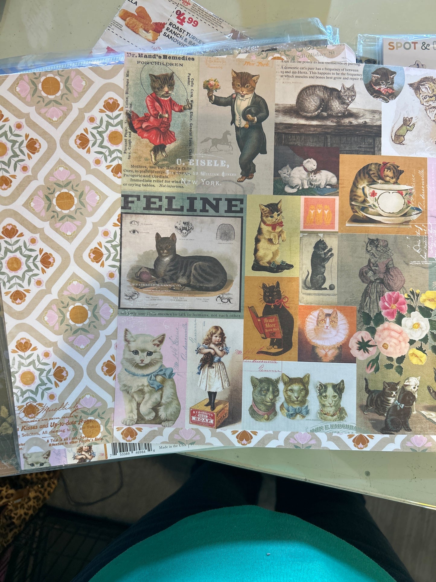 Pretty Kitty 12x12