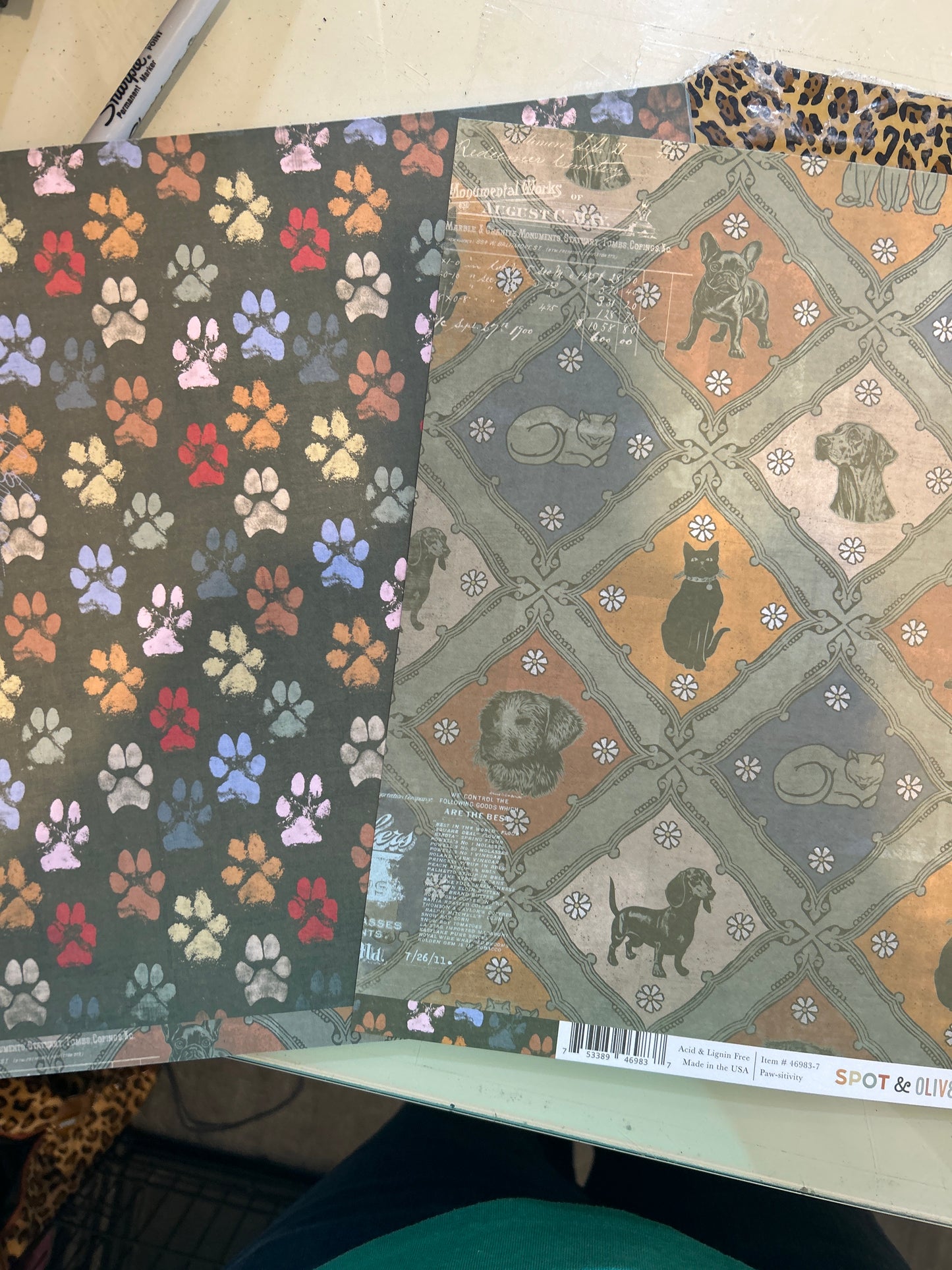 Paw-sitivity 12x12