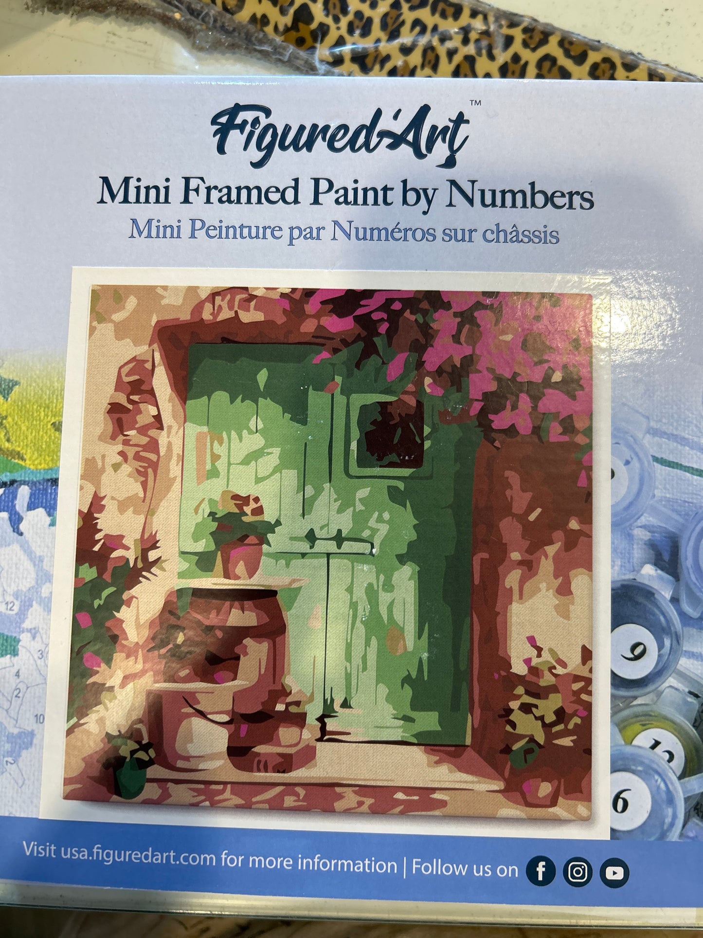 Mini Framed Paint by Numbers Green Door