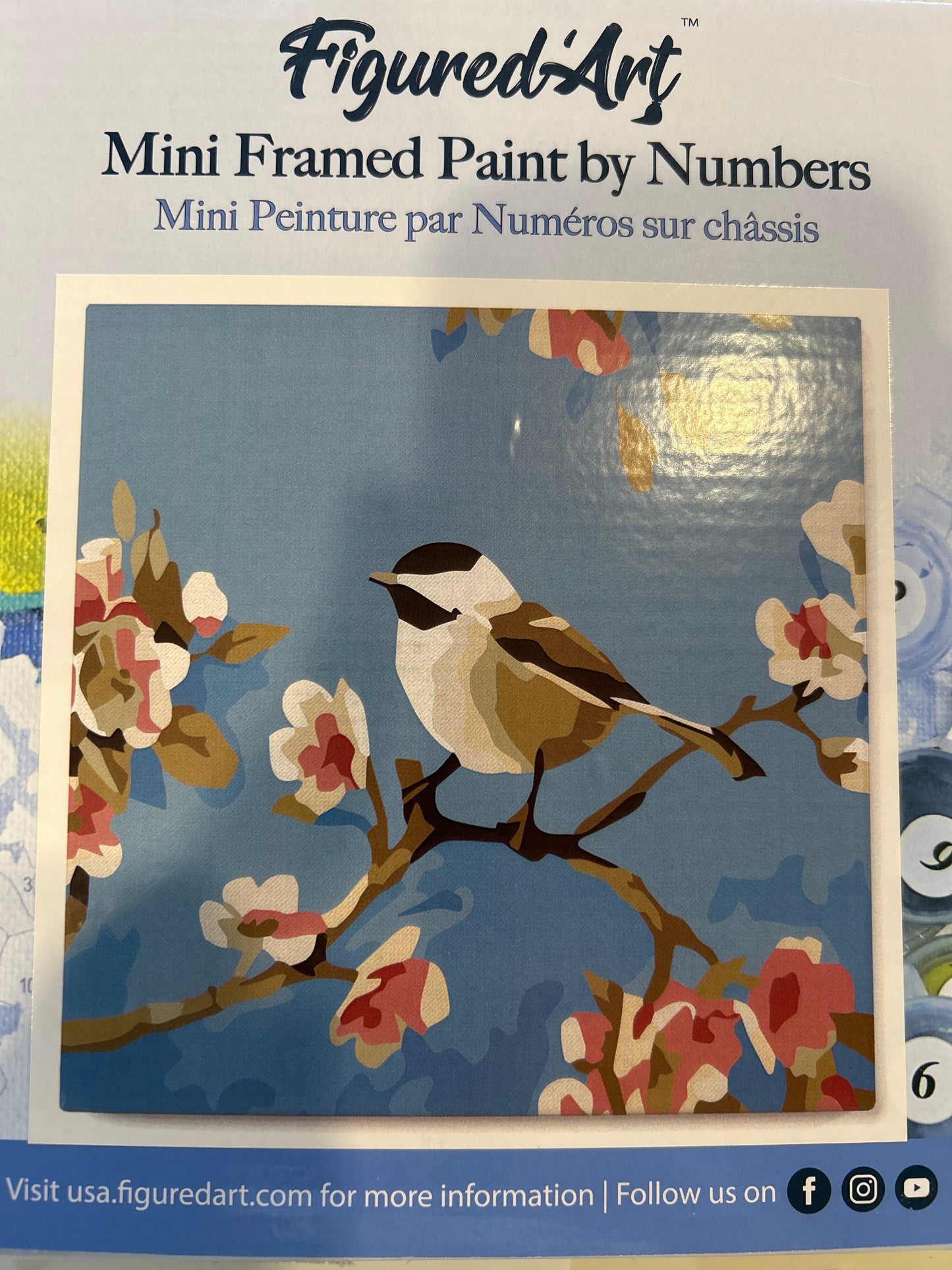 Mini Framed Paint by Numbers Birds