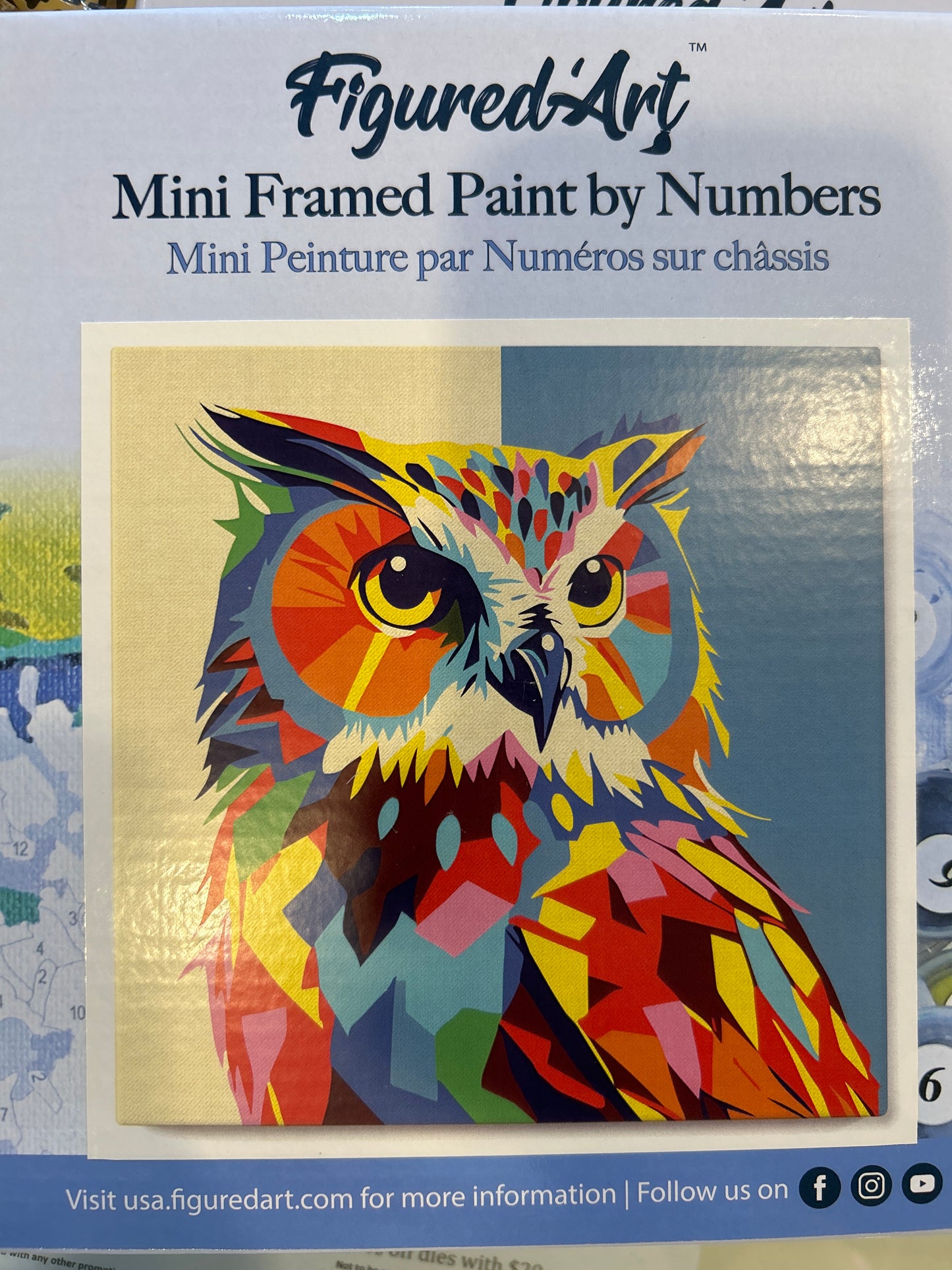 Mini Frames Paint by Numbers Abstract Owl Pop Art