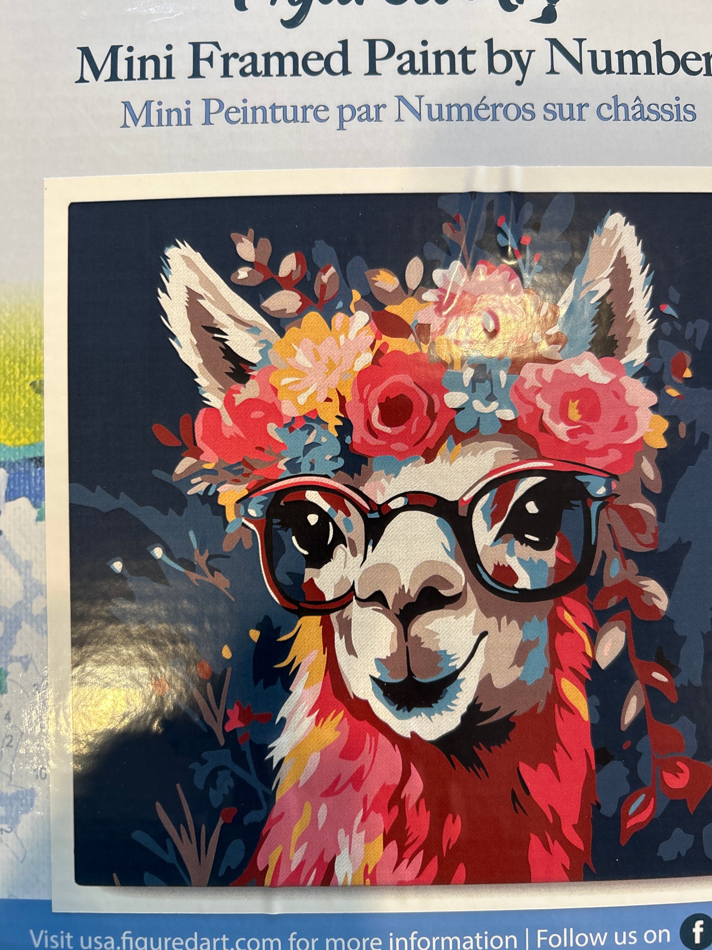 Mini Framed Paint by Number Llama