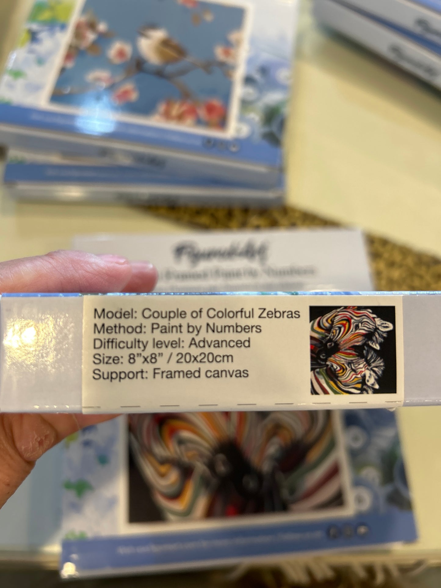 Mini Framed Paint by Numbers Couplr of Colorful Zebras