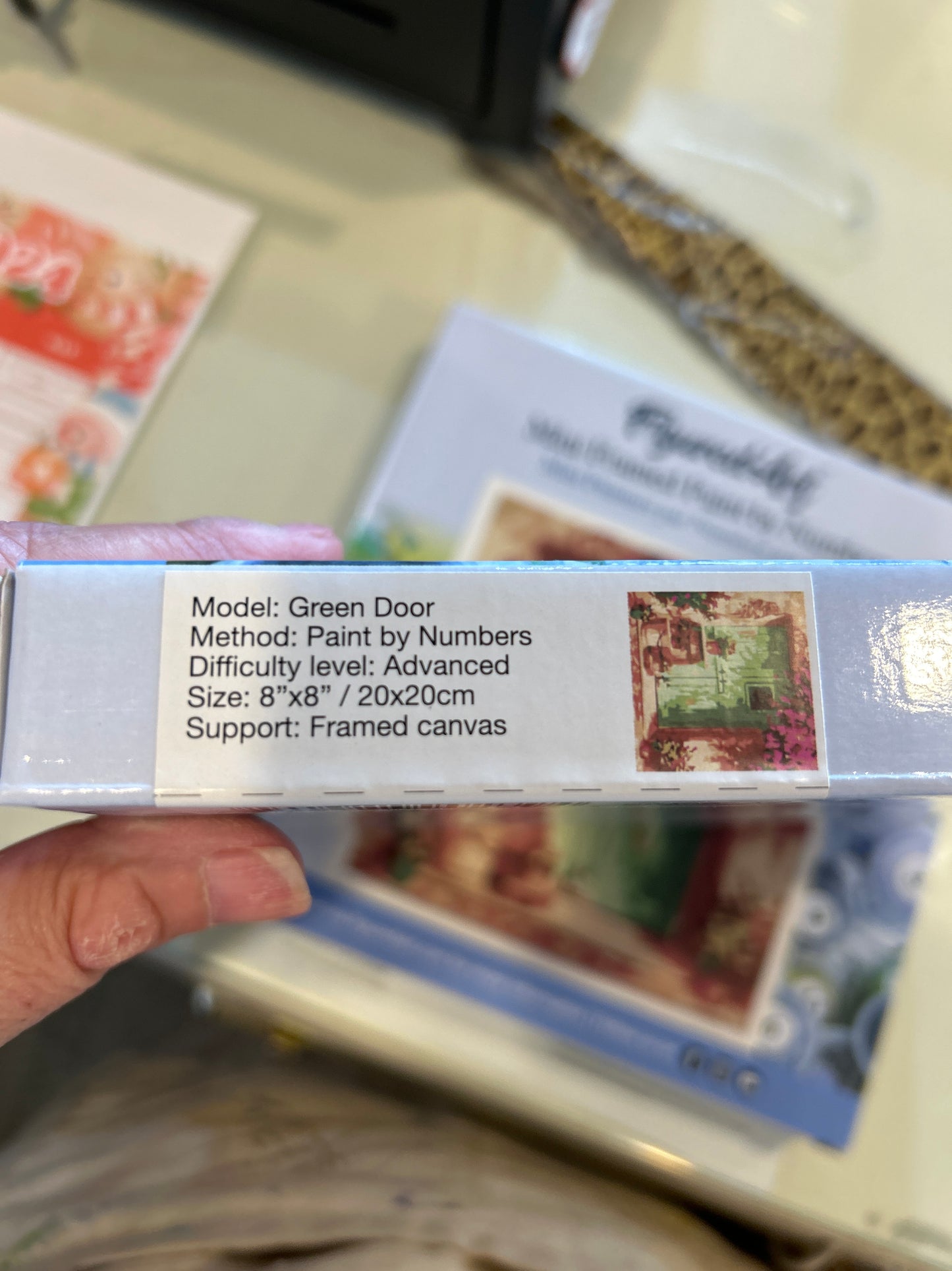 Mini Framed Paint by Numbers Green Door