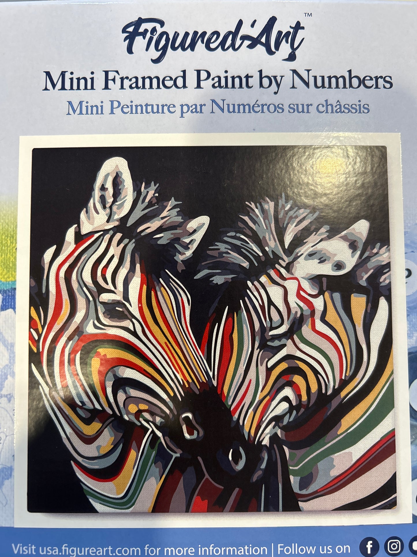 Mini Framed Paint by Numbers Couplr of Colorful Zebras