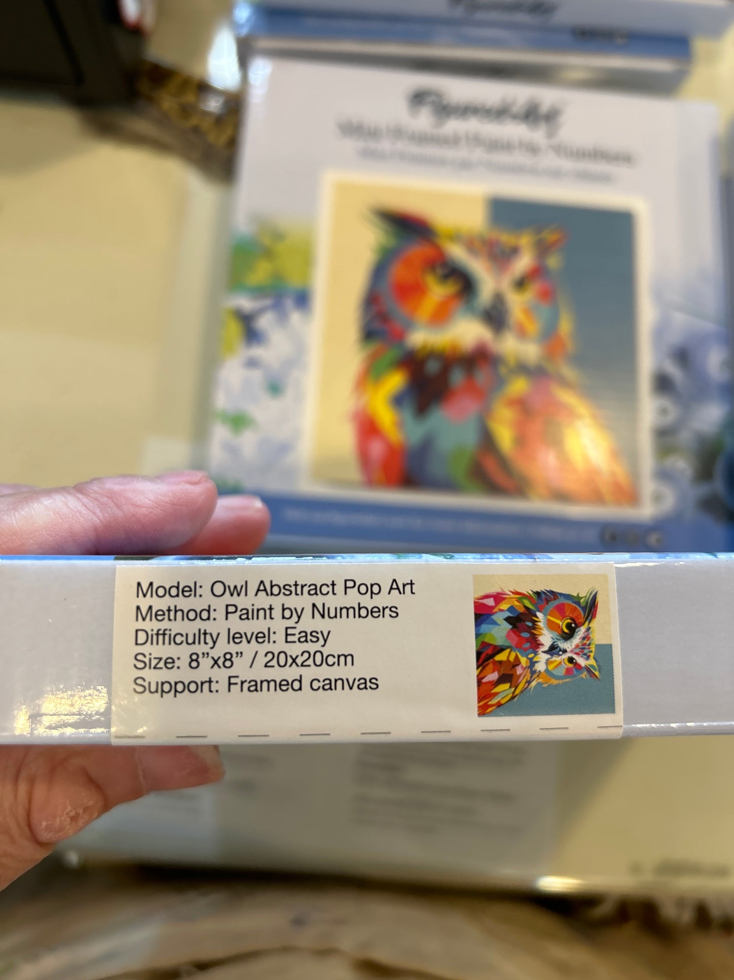 Mini Frames Paint by Numbers Abstract Owl Pop Art