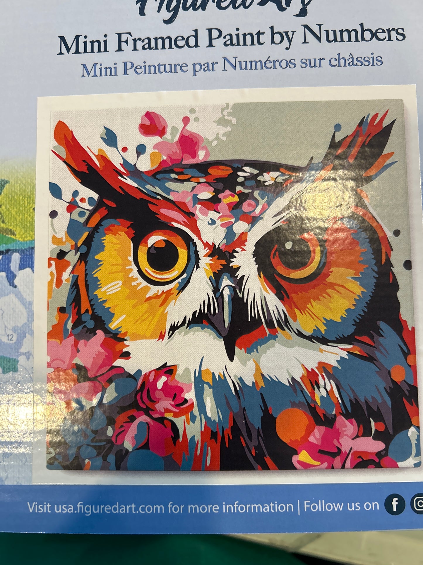 Mini Framed Paint by Number Owl
