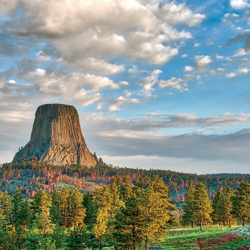 Devil's Tower 12x12 The Black Hills collection by Reminisce