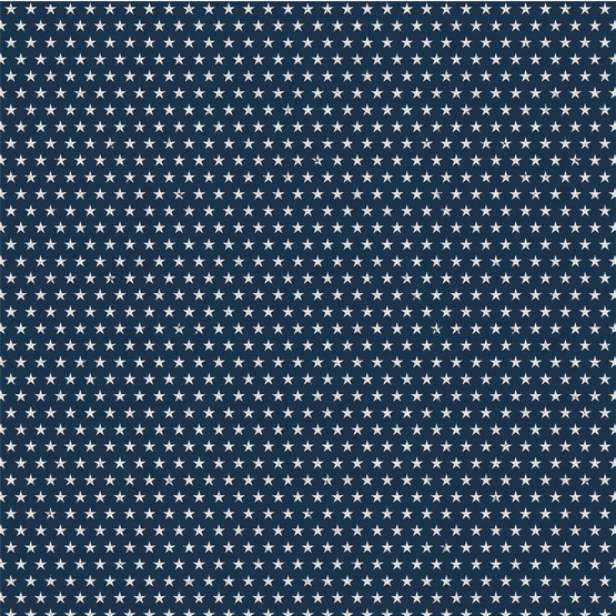 The Brave 12x12 paper The Brave collection by PhotoPlay Paper
