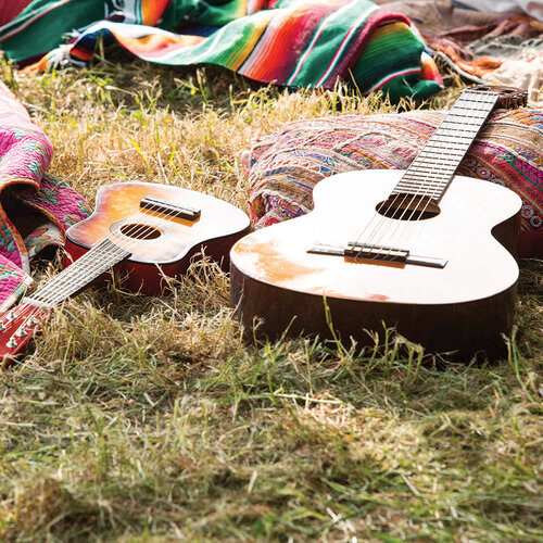 Sounds of the Outdoor 12x12 paper in Music Festival collection by Reminisce
