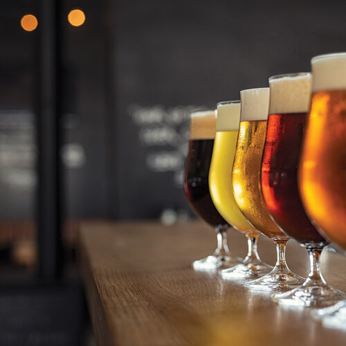 Crafty 12x12 Beer Thirty Collection by Reminisce