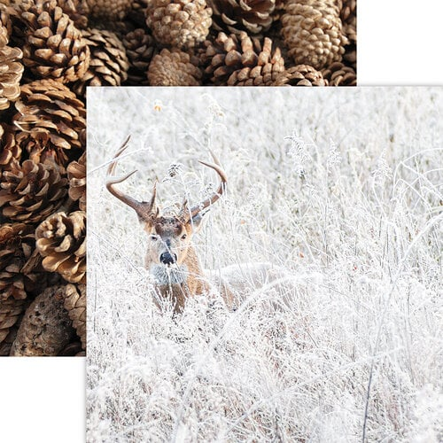 Winter Fauna 12x12 Winter Canvas Collection by Reminisce