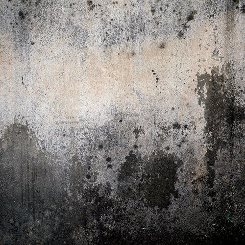 Green Grunge 12x12 Garage Grunge Collection by Reminisce