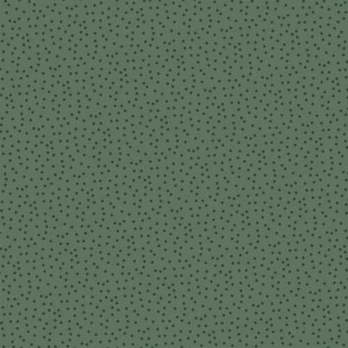 Make a Wish 12x12 paper A Birthday Wish collection by Echo Park