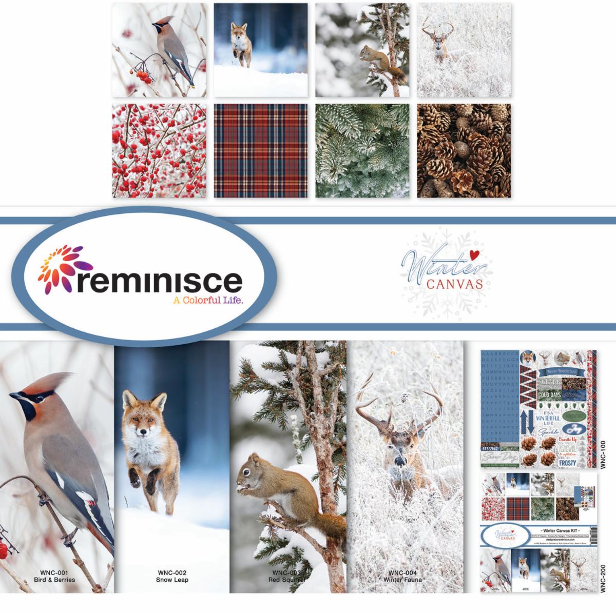 Winter Canvas collection kit
