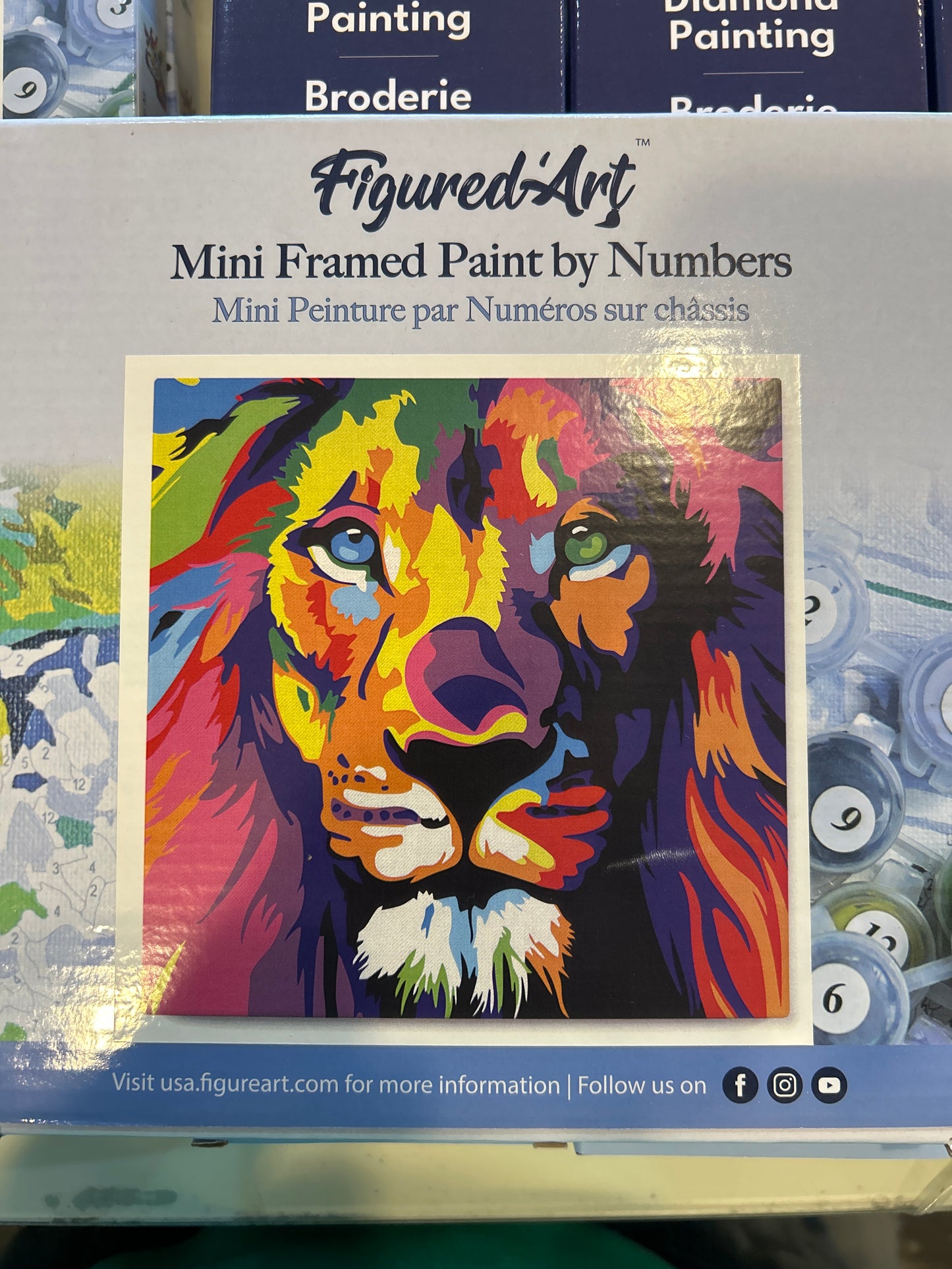 Mini framed paint by number Lion Pop Art