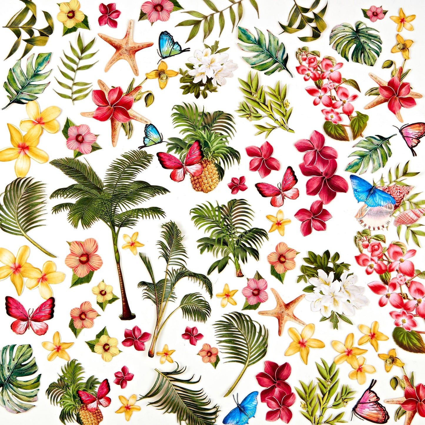 Sunburst Tropical Foliage Laser Cuts in Sunburst collection by 49 & Market