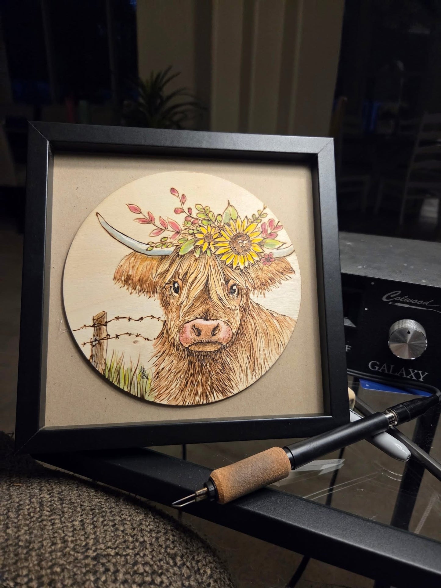 Honey the Highlander Thursday, Sept. 11, 2025