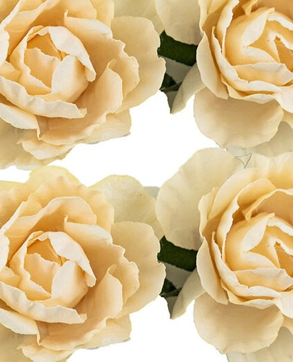 Paper Flowers 12 ct Ivory/Peach