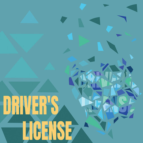Driver's License in the In the Drivers Seat collection paper by Reminisce
