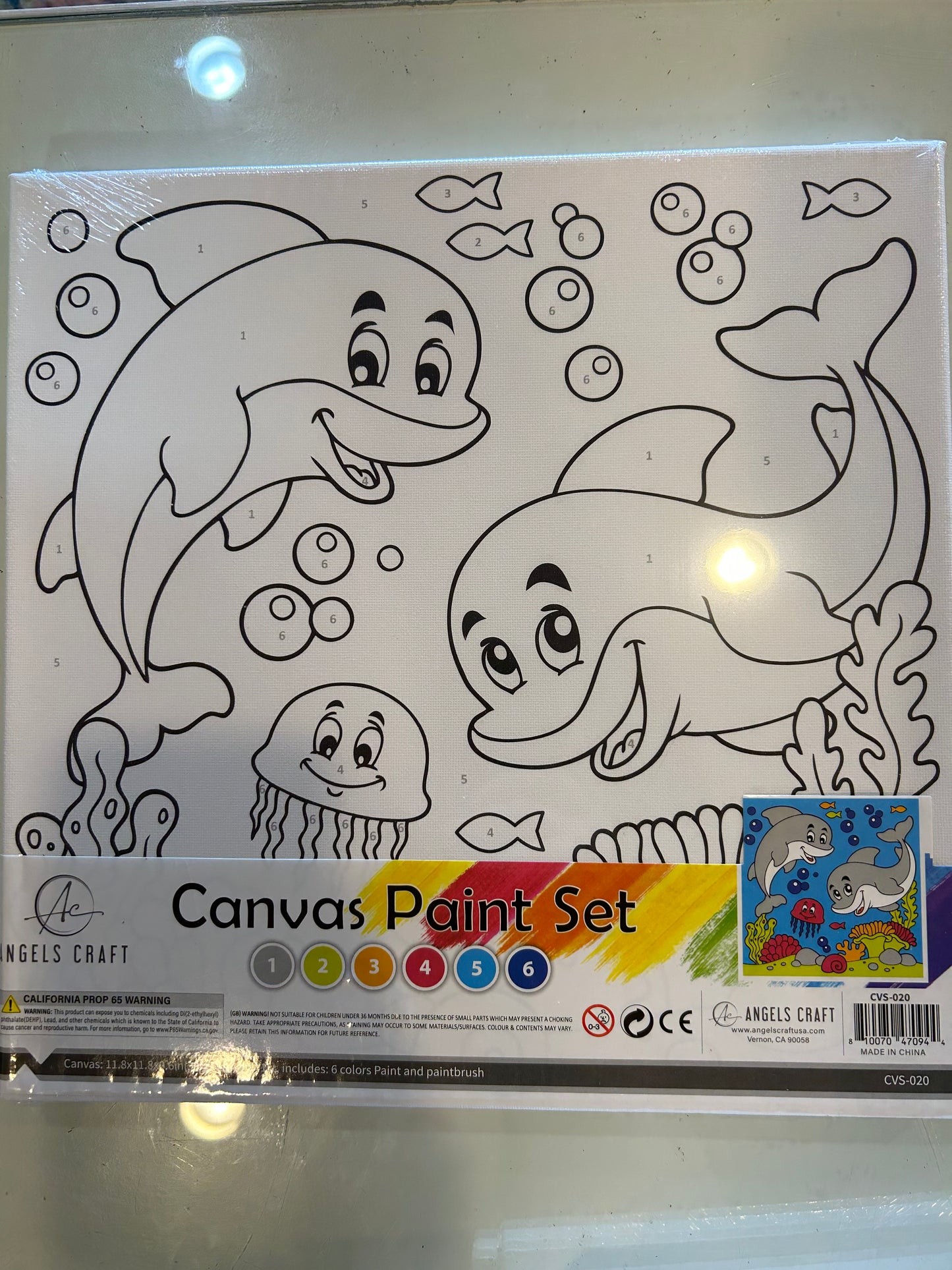 Dolphin Canvas Paint Set by Angels Craft USA