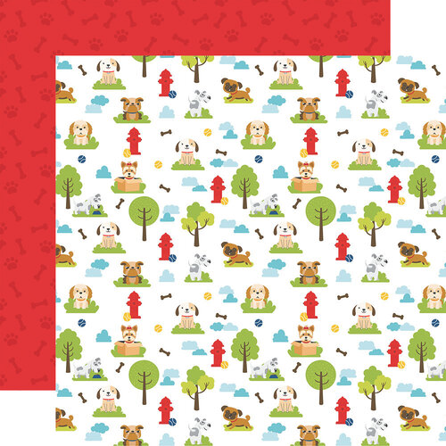 Park Playdate 12x12 Pets Collection by Echo Park