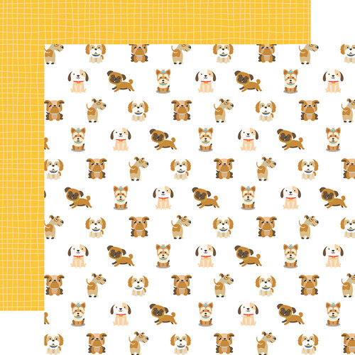Puppy Pals 12x12 Pets Collection by Echo Park